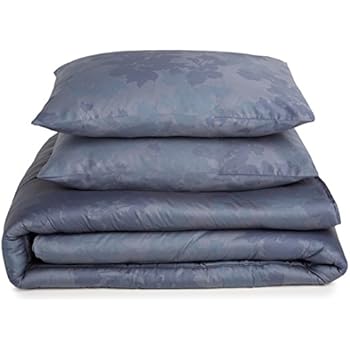 Amazon.com: Calvin Klein Pyrus Comforter Set, Queen: Home