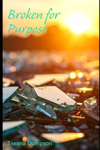 Broken For Purpose