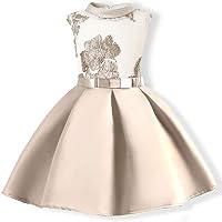 AYOMIS Flower Girl Pageant Dress Kids Party Embroidery Wedding Dresses 2-9 Years(Apricot 2-3Y)