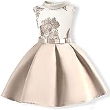 AYOMIS Baby Girl Dress Party Wedding Flower Dresses Sleeve Gowns(Apricot,4-5Y)