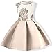 AYOMIS Flower Girl Pageant Dress Kids Party Embroidery Wedding Dresses 2-9 Years(Apricot,4-5Y)