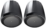 JBL Professional C67P/T Extended Range Full-Range