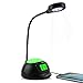 Reacher Flexible USB LED Light Desk Lamp with Night Light, Snooze Alarm Clock, USB Port Charger for Laptop Light up