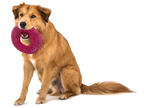 West Paw Zogoflex Air Dash Durable Dog Frisbee Nearly Indestructible Flying Disc Dog Toy, 100% Guaranteed Tough, It Floats!, Made in USA, Large, Dandelion