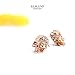 ELBLUVF Alloy Rose Gold Plated CZ Skull Rhinestone Studs Earrings