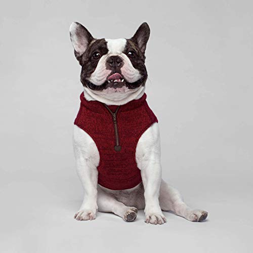 maroon dog sweater