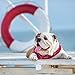 Bulldogs 2019 16 Month Wall Calendar 12 x 12 Inches