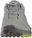 ECCO Men's Biom Hybrid 3 BOA Gore-Tex Golf Shoe, Wild Dove/Kiwi Yak Leather, 10-10.5