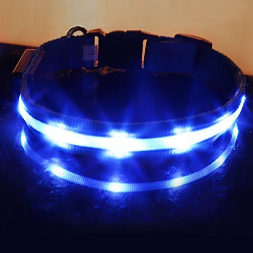 SPETYLE Light up LED Dog Leash for Pet Night Safety - Glow in the Dark LED Pet Pooch Collar and Leash Set for Dogs, Puppies and Cats (S-Collar, Blue)