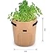 Accmor 3 Pcs Garden Potato Grow Bags with Flap and Handles Fabric Pots Heavy Duty, 7 Gallon Potato Tomato Planter Bag Vegetable Planting Bag