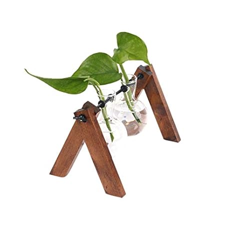 Casa E Cucina Toogoo Fai Da Te Home Garden Legno Cremagliera