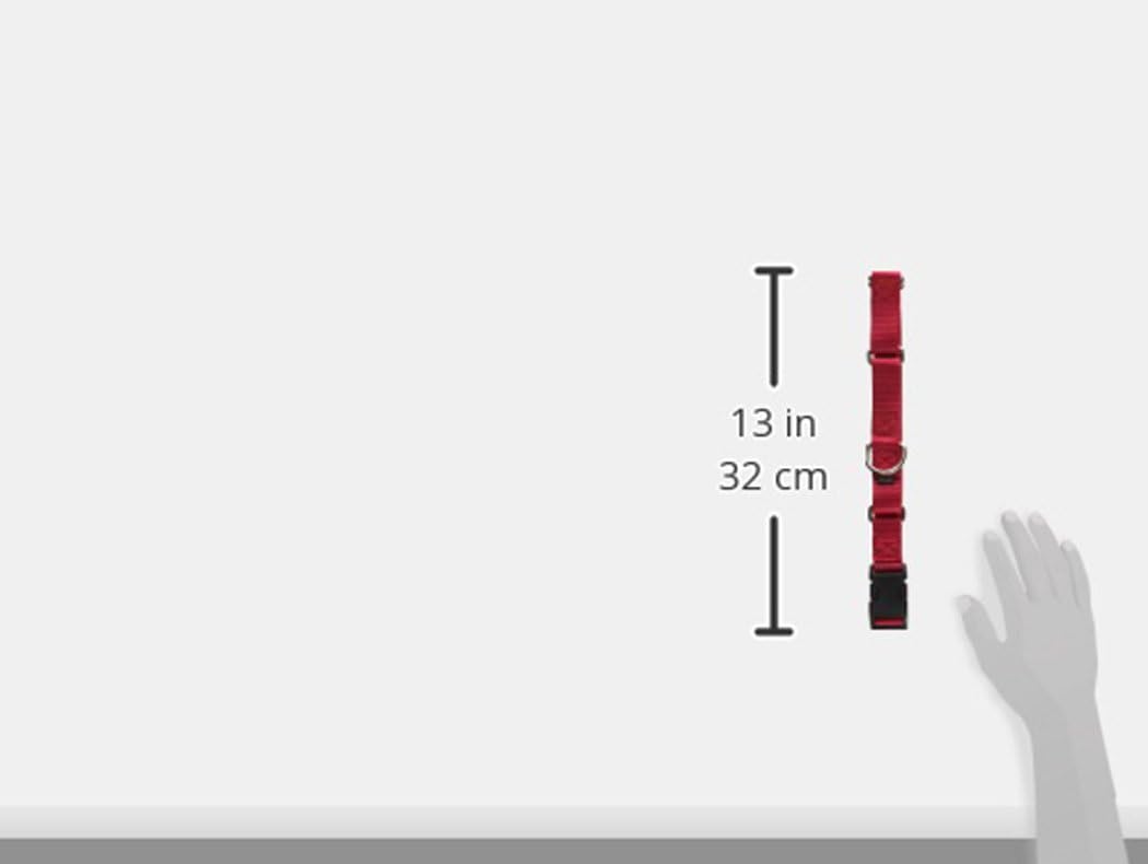 PetSafe Martingale Collar with Quick Snap Buckle, 1" Large, Red : Premier Martingale Collar : Pet Supplies