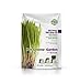 Pet Greens Pet Grass Organic Wheatgrass Self Grow Kit, Contains Soil Mixture and Seed Packet
