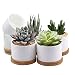 Succulent Pots, ZOUTOG White Mini 3.15 inch Ceramic Flower Planter Pot with Bamboo Tray, Pack of 6 - Plants Not Included