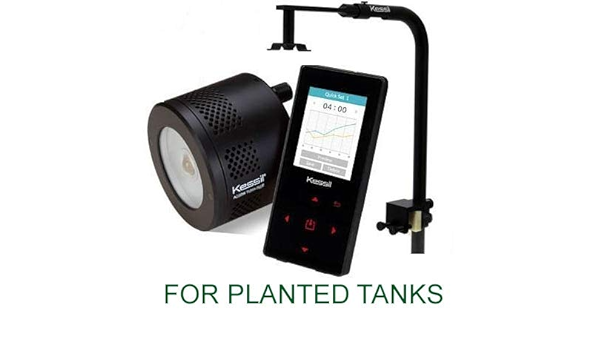 kessil a360we tuna sun planted tank