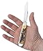 Case Trapper Knives