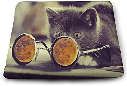 Amazon Com Yetsh Chair Pads Square 16 X 16 Inch Cool Cat