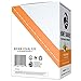 Honey Badger Vegan Vitamin C + Immune Support Hydration Electrolyte Powder | Peach Mango | Natural Rehydration Hangover Endurance Support | Caffeine Free Sucralose Free + Beets | 10 Servings
