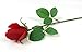 Angel Isabella 1 Dozen Live-Feel Real Touch Artificial Long stem Rose with Vein Printed Leaf.Keepsake Flowers