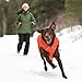 RUFFWEAR, Quinzee Insulated, Water-Resistant Jacket for Dogs with Stuff Sack, Sockeye Red, Medium