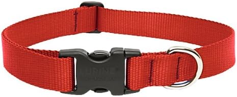 red puppy collar