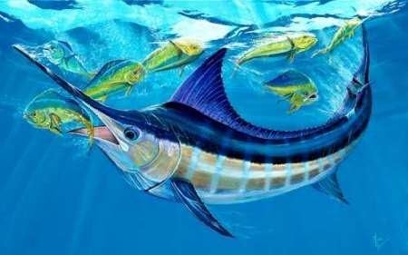 Amazon パーティークラッシャー キャンバス上のファインアートプリント 小 61 Cms X 38 Cms アートフレーム ポスター オンライン通販