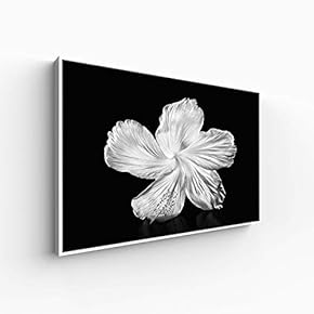 Canvas Wall Art for Living Room, Bedroom Monochrome Plants Framed Canvas Prints for Home Decoration Ready to Hang - 16x24 inches