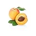 John Masters Organics - Rose & Apricot Hair Milk - 4 oz (New)