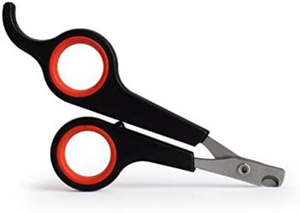 guinea pig nail trimmers