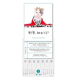 Jinse Ha Motto Nyantoka NaruI 2017 [Japan Calendar] 17CL-0370