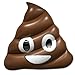 Emoji Swimming Pool Float | Brown Poo | Huge 60 Inch Raft | Cool For Pool Parties