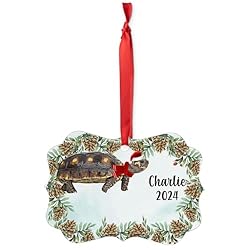 Red Footed Tortoise Christmas Ornament 2024