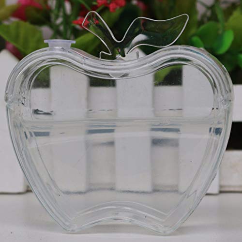 Flameer Apple Shape Ant Farm Home Social Structure Kids Toys Behavior of Ants Maze - White, as described - Thumbnail 5
