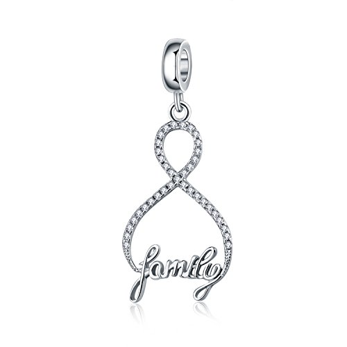 Infinity Love My Family 925 Sterling Silver Charms 8 Shaped Pendant Clear CZ for Bracelets Necklace Jewelry (Full CZ)