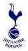 Tottenham Hotspur EPL soccer Vinyl Sticker Decal 6