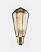 60 Watt Nostalgia Era S-21 Squirrel Cage Filament Bulb - 1910 Edison Style - 2 Pack
