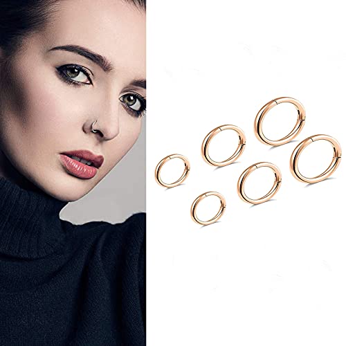 G23 Titanium Septum Ring Hinged Nose Rings for Women 16G Hoop Segment Rings Sleeper Earrings Body Piercing Jewelry Black/Silver/Gold/Rose Gold Rings, Diameter 6mm,8mm,10mm(6pcs) (Rose Gold)