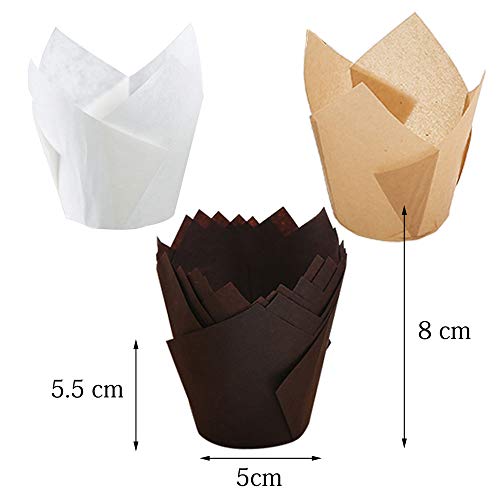Tulip Cupcake Liners Greaseproof Standard Size Baking Paper Cups