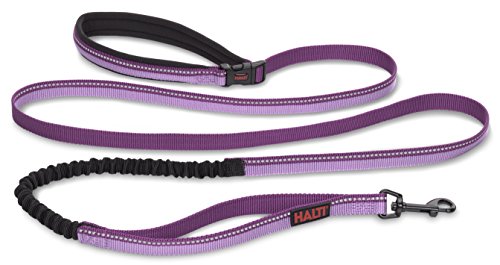 The Company of Animals - HALTI All-in-One Lead - Multi-Purpose Dog Leash - Hands Free, Belt, Tether - Bungee Shock Absorber - Traffic Lead - Neoprene Handle - 3M Reflective Strip - Small - Purple