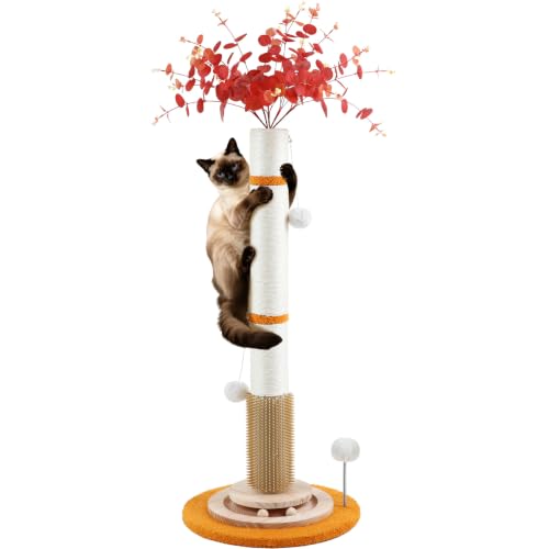 Cat Scratching Post