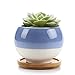 T4U 3 Inch Succulent Planters Pots Ceramic, Ball Shape Drainage Cactus Pots Window Boxes with Bamboo Tray, Set of 4