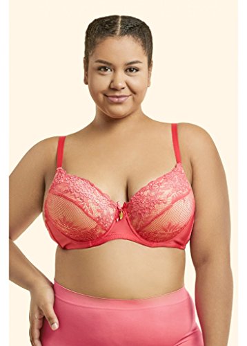 WHITE APPAREL Women's Laced & Lace Trimmed Bras (Packs of 6) - Various Styles