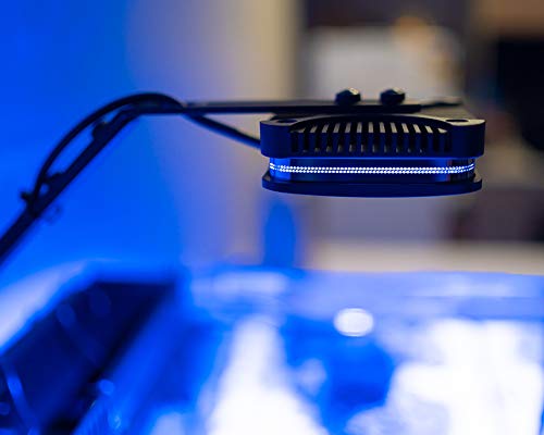 2 Lomini+Aquarium+Saltwater+Freshwater+Planted