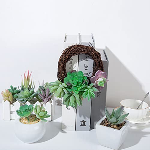 16 Pack Artificial Succulent Plants Unpotted Premium Pack of Small