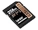 Lexar Professional 633x 256GB SDXC UHS-I Card, Up To 95MB/s Read, for Mid-Range DSLR, HD Camcorder, 3D Cameras, LSD256CBNL633 (Product Label May Vary)