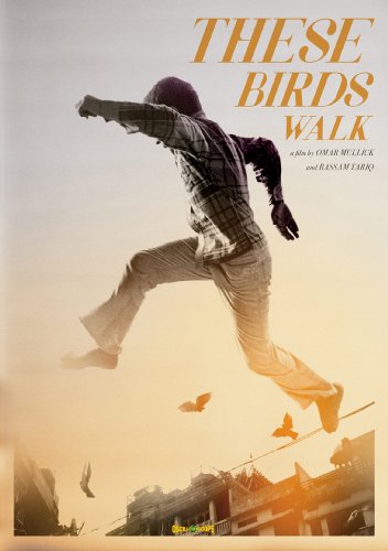 These birds walk