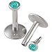 16g 16 gauge 1/4 Inch 6mm Surgical Steel Balls 2mm Crystal Internal Blue zircon 2Pcs ALRH