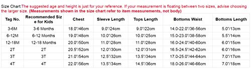 dPois Infant Baby Girls' Long Sleeves One-Piece Floral Rash Guard Ruffles Swimsuit Swimwear with Back Zipper Cyan (Tankini) 6-12 Months