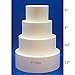 Oasis Supply 4 Piece Round Fake Cake Set / Dummy Cake Set (5