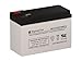 12 Volt 7 Amp Hour Alarm Battery